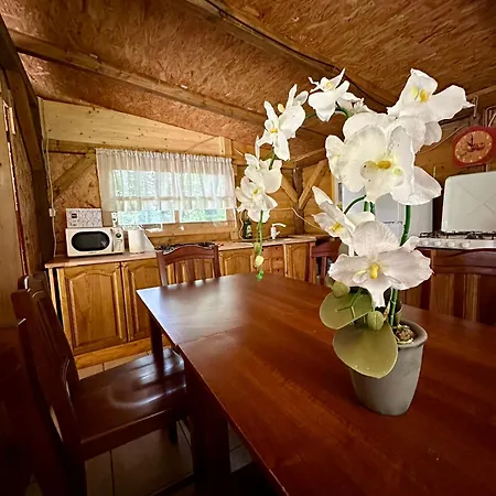 Glamping Krn Hotel Kobarid Exterior photo