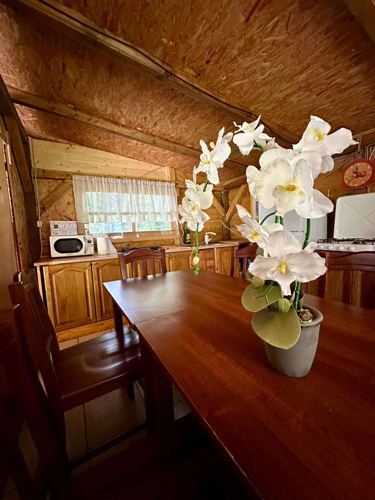 Luxury tent Glamping Krn *